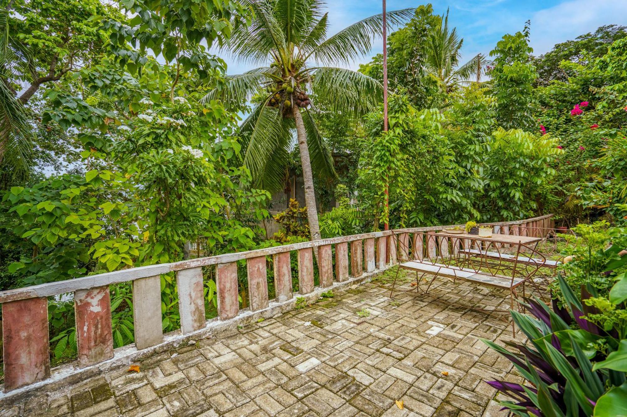 Weyh'S Studio #1 By The Ocean 100Mbps Panglao Exteriér fotografie