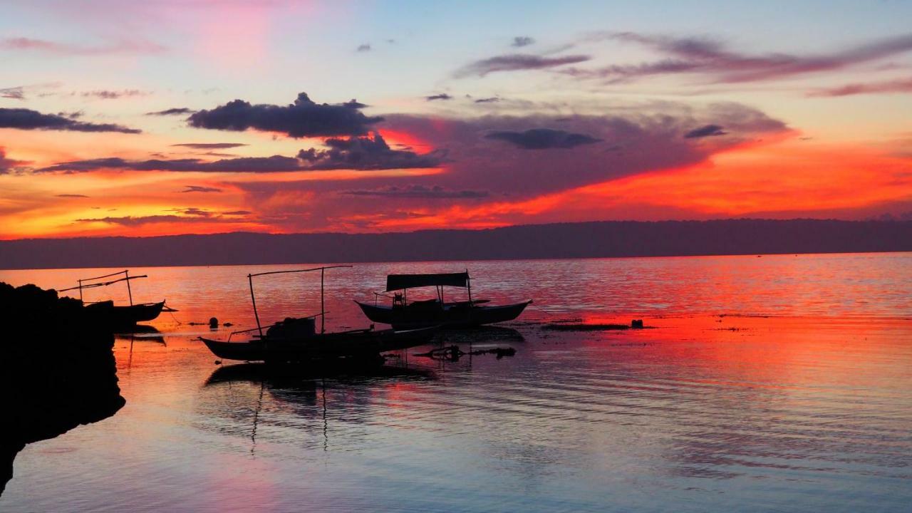 Weyh'S Studio #1 By The Ocean 100Mbps Panglao Exteriér fotografie