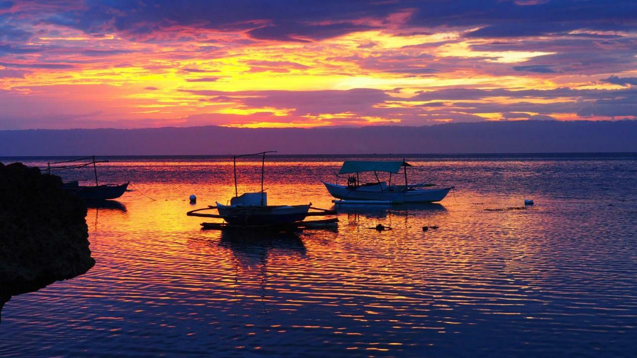 Weyh'S Studio #1 By The Ocean 100Mbps Panglao Exteriér fotografie